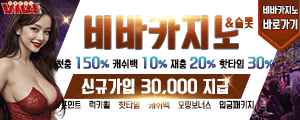 비바카지노